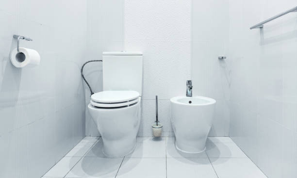 istock Clean bathroom wc interior with white ceramic toilet 1455824196
