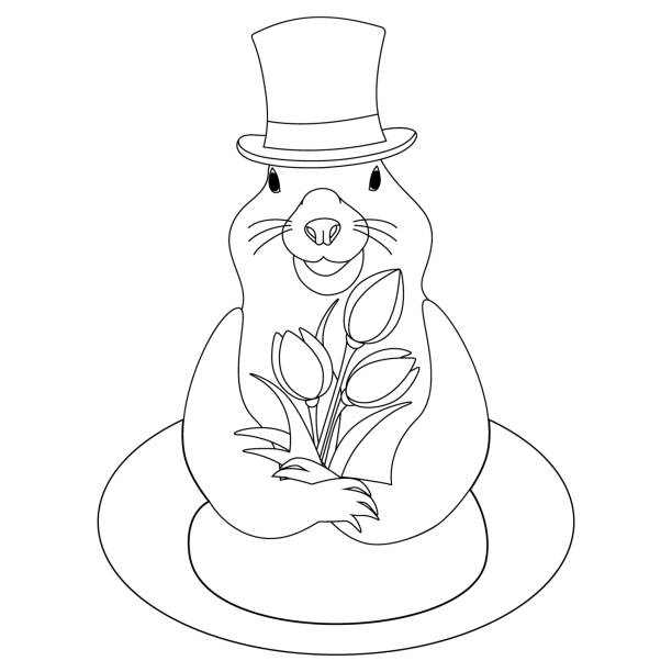 contour image of groundhog in a hat with flowers bouquet coming out of a hole. happy groundhog day. - groundhog day tatil stock illustrations