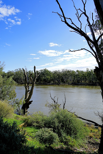 The flooded Murray River meandering on by the township in the Mallee Country