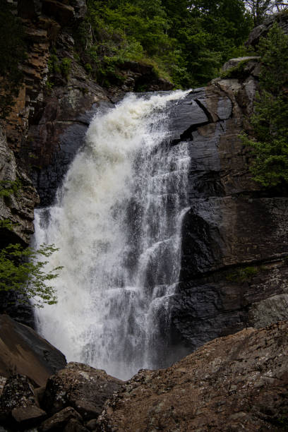 istock Vertical shot of raging waterfalls over big rocks 1455829444