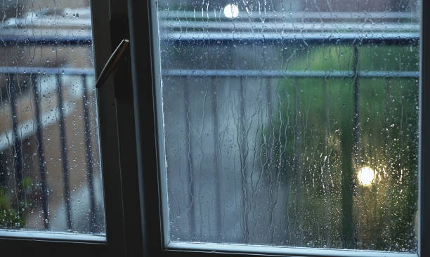 istock Heavy rain outside the window. Bad weather. 1455829543