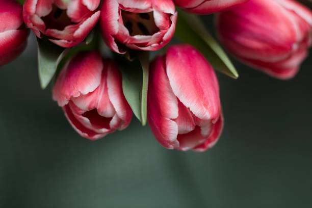 present, gift, bouquet