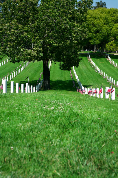 istock Green grass separating rows of white gravestones 1455831422