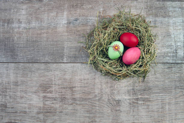 a nest with colored eggs for Easter. Green and pink eggs