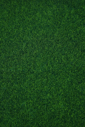 Green fresh grass pattern, lawn background