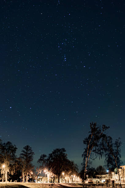istock Vertical of a park with green trees illuminated with lantern lights under a blue starry sky at night 1455834980