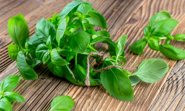 istock Green fresh basil on a wooden background 1455837254