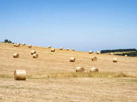 straw bales on a stubble field in rural Switzerland