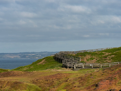 The beautiful coastline on Phillip Island