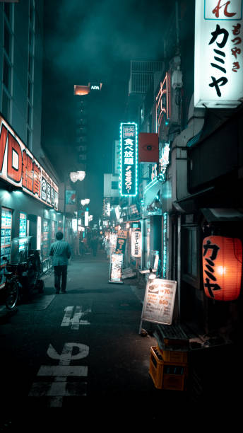 istock Japanese alley in Tokio 1455840940