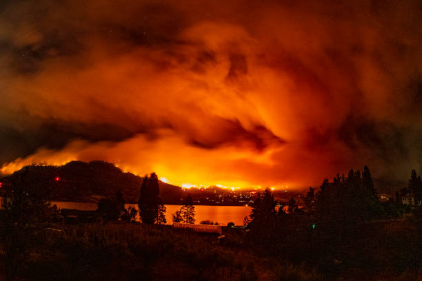 Forest Fire at night in the Okanagan Valley A forest fire burns among a residential area forest fire stock pictures, royalty-free photos & images
