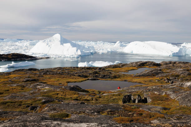 istock Man observe big icebergs floating over sea 1455842977
