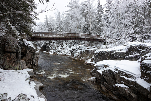Treelined wooden footbridge snow covered