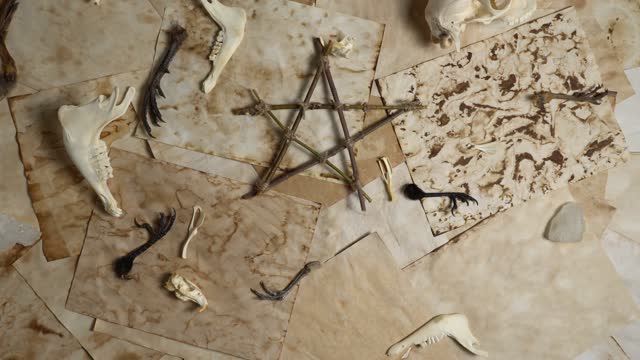 Old witch’s book empty pages with wood twigs pentagram and witchcraft objects. Goat skull, jaw bones and crow toes with magic crystal. Bewitched grimoire weathered pages top view.