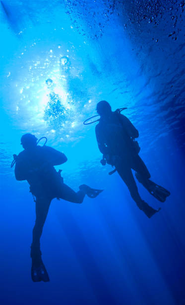 istock Silhouette of scuba divers in the deep blue sea 1455848451