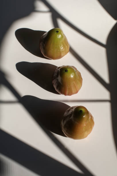 istock Rose apple or chomphu on white background under morning light from window.. Thailand apple fruit flavors of sweet red gloss. 1455849736