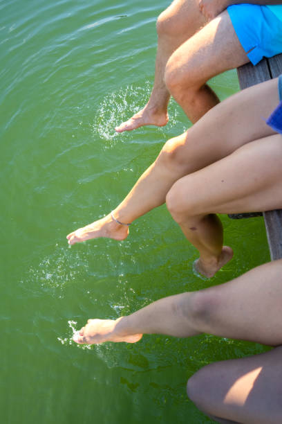 istock Low section of friends at the lake 1455850022