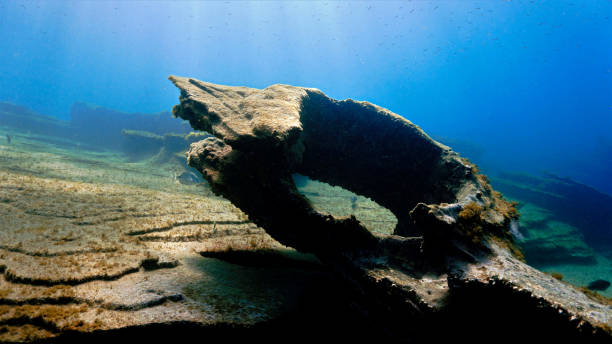istock Volcanic rock and structure at the bottom of the ocean 1455850930