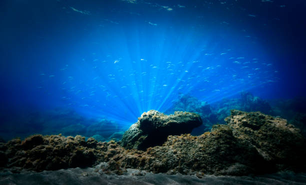 istock Rays of light at a reef underwater 1455852457