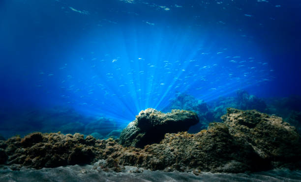 istock Rays of light at a reef underwater 1455852488