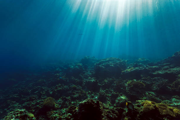 istock Rays of sunlight over a coral reef 1455852498
