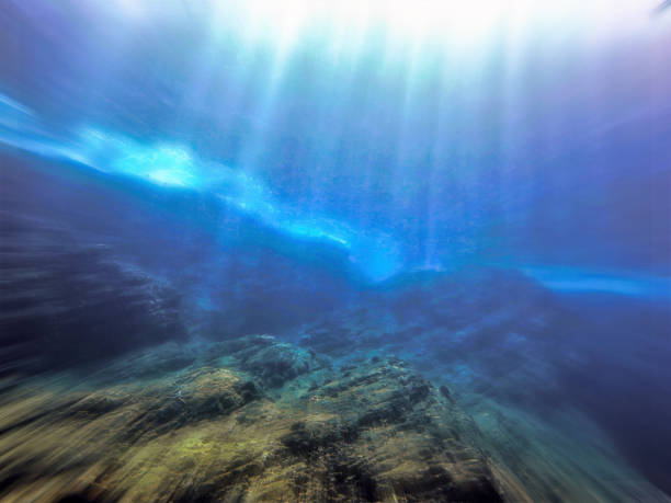 istock Artistic underwater landscape in rays of sunlight 1455852500