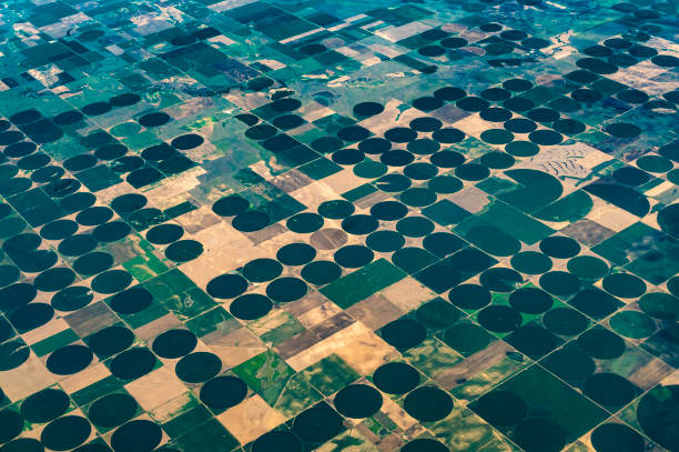 istock Earth from above, aerial landscape crop circles and agricultural fields patterns 1455852740