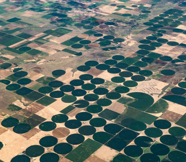 istock Earth from above, aerial landscape crop circles and agricultural fields patterns 1455853094