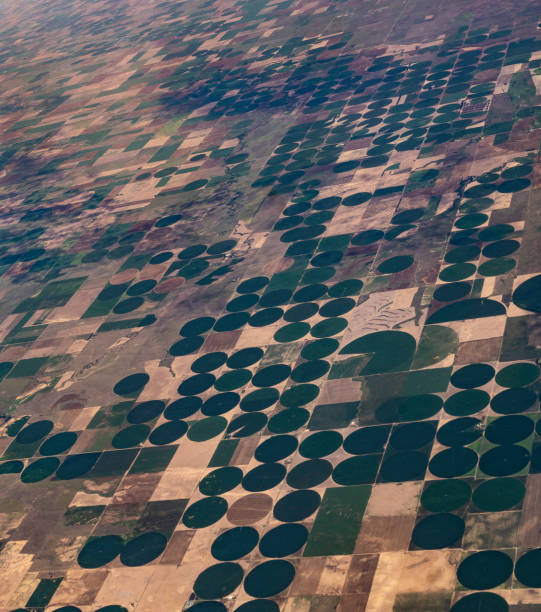 istock Earth from above, aerial landscape crop circles and agricultural fields patterns 1455853095