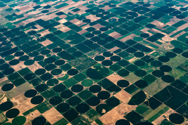 istock Earth from above, aerial landscape crop circles and agricultural fields patterns 1455853116