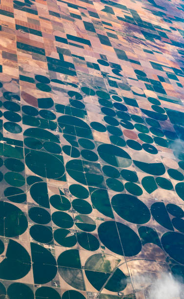 istock Earth from above, aerial landscape crop circles and agricultural fields patterns 1455853142