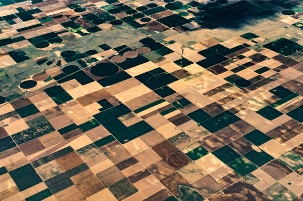 istock Earth from above, aerial landscape crop circles and agricultural fields patterns 1455853247