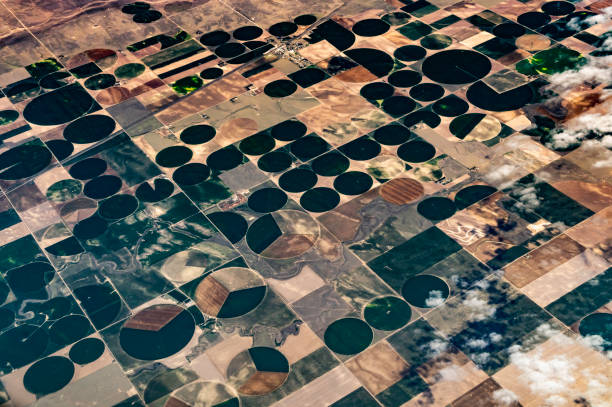 istock Earth from above, aerial landscape crop circles and agricultural fields patterns 1455853289