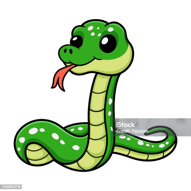 Cute Green Tree Python Cartoon Stock Illustration - Download Image Now ...
