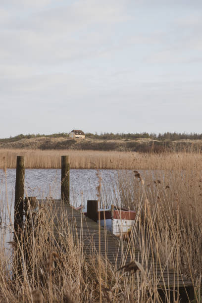 istock The beautiful Danish winter landscape 1455861419