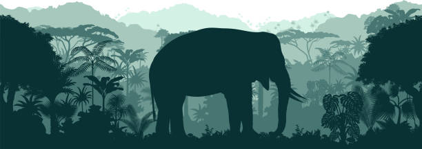ilustraciones, imágenes clip art, dibujos animados e iconos de stock de vector horizontal sin costuras selva tropical fondo selvático con elefante africano - área de conservación de ngorongoro