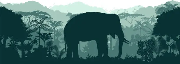 Vector illustration of Vector horizontal seamless tropical rainforest Jungle background with african elephant