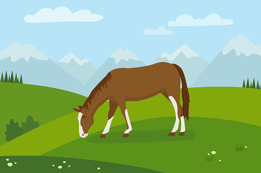 Rural landscape with grazing horse horse with green meadows in background. Background with mountains and blue sky in the background. Flat design