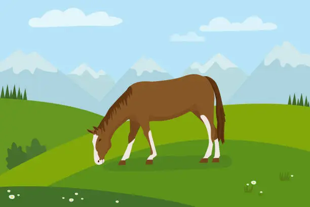 Vector illustration of Rural landscape with grazing horse horse with green meadows in background. Background with mountains and blue sky in the background. Flat design.