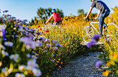 istock Unrecognizable person on a bike ride through a lush wildflower field on a summer day healthy lifestyle 1455863800