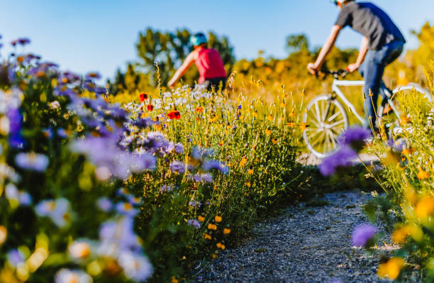 Unrecognizable person on a bike ride through a lush wildflower field on a summer day healthy lifestyle stock photo