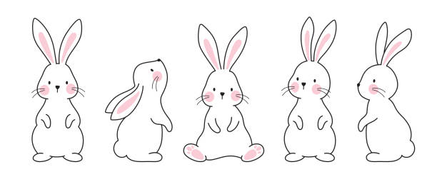 ilustrações de stock, clip art, desenhos animados e ícones de cute minimal bunny rabbit sketch outline line art vector illustration - rabbit vector black composition