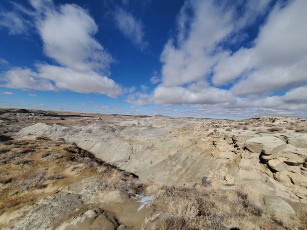 istock Landscape of the desert 1455868972