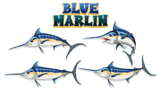 Blue marlin fish cartoon character in different poses illustration