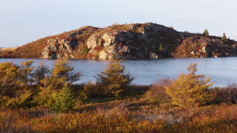 NFLD St. John's Georges Pond