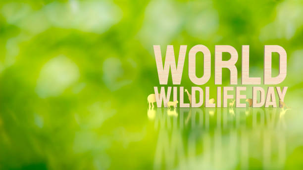 istock The animal and text for world wildlife day concept 3d rendering 1455872511