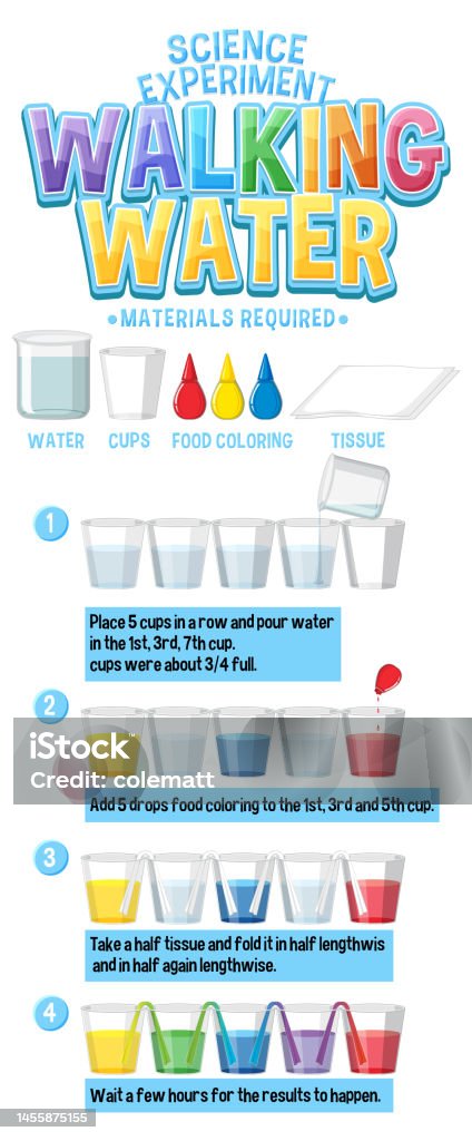 Science Water Flow Walking Water Science Experiment Stock Illustration - Download Image ...