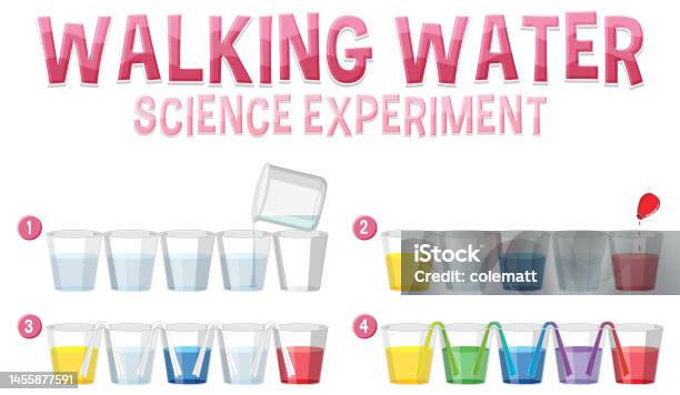 Science Water Flow Walking Water Science Experiment Stock Illustration - Download Image ...