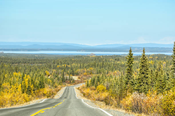 istock Traveling Across Alaska in Fall 1455877760