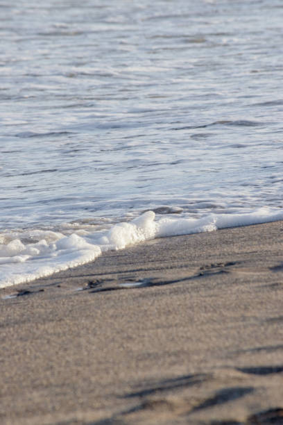 istock sea ​​foam on the beach shore 1455878264